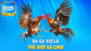 Đá gà 88Clb - Khám Phá Thế Giới Gà Chọi Cực Kỳ Hấp Dẫn